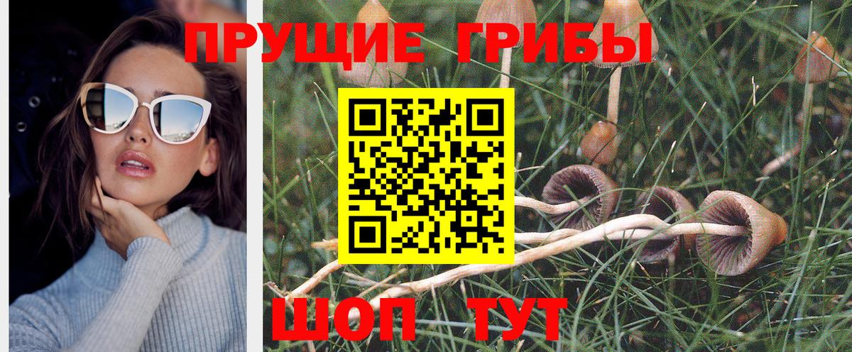 Галлюциногенные грибы Cubensis Междуреченск