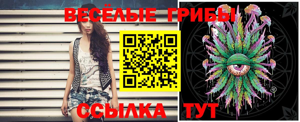 Псилоцибиновые грибы Cubensis  Псилоцибиновые грибы Psilocybe  Вход с VPN  где найти наркотики  Междуреченск 